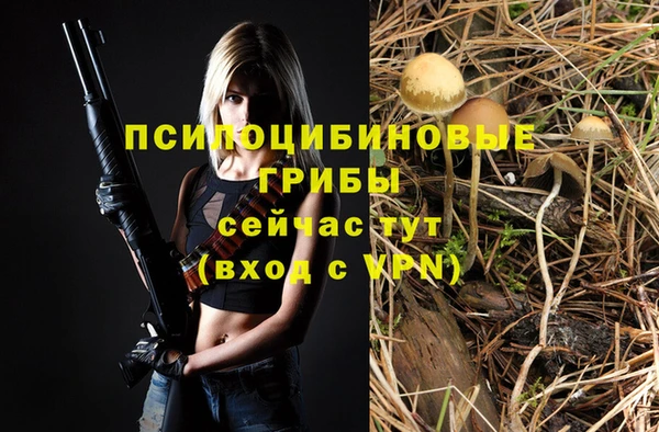 прущая мука Алзамай