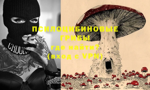 гидра Алексеевка