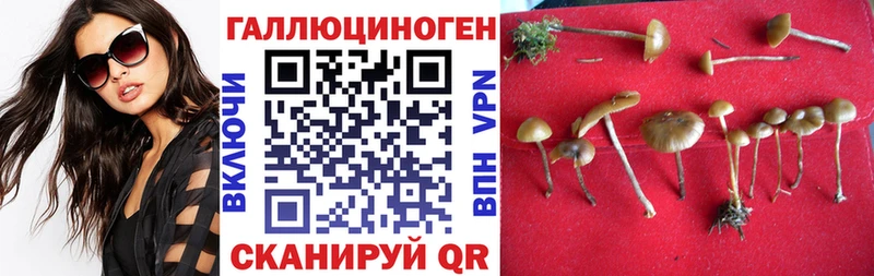 mega ссылки  Бердск  Галлюциногенные грибы MAGIC MUSHROOMS 